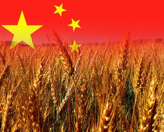 Китай став одним із головних торгових партнерів України з експорту агропродукції у 2021 році