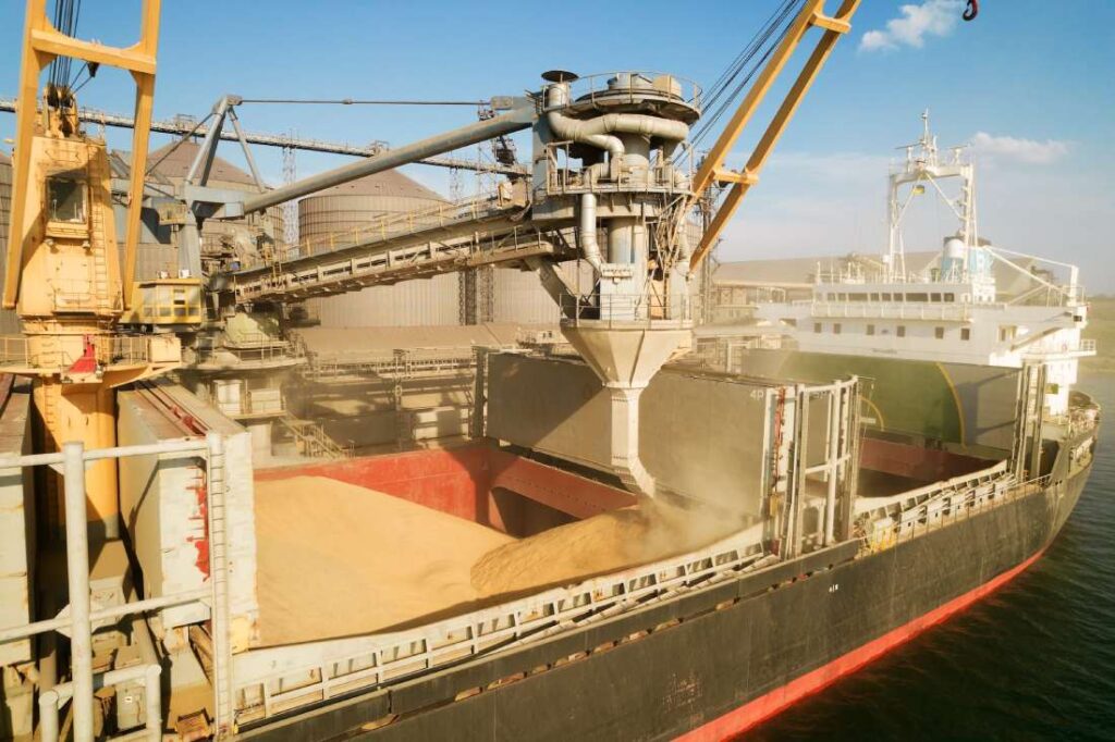 Китай став головним покупцем українського зерна